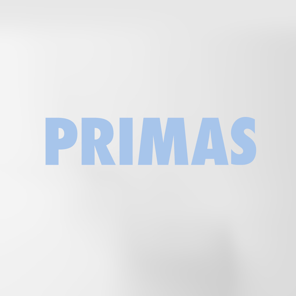 Programmübersicht PRIMAS Logo