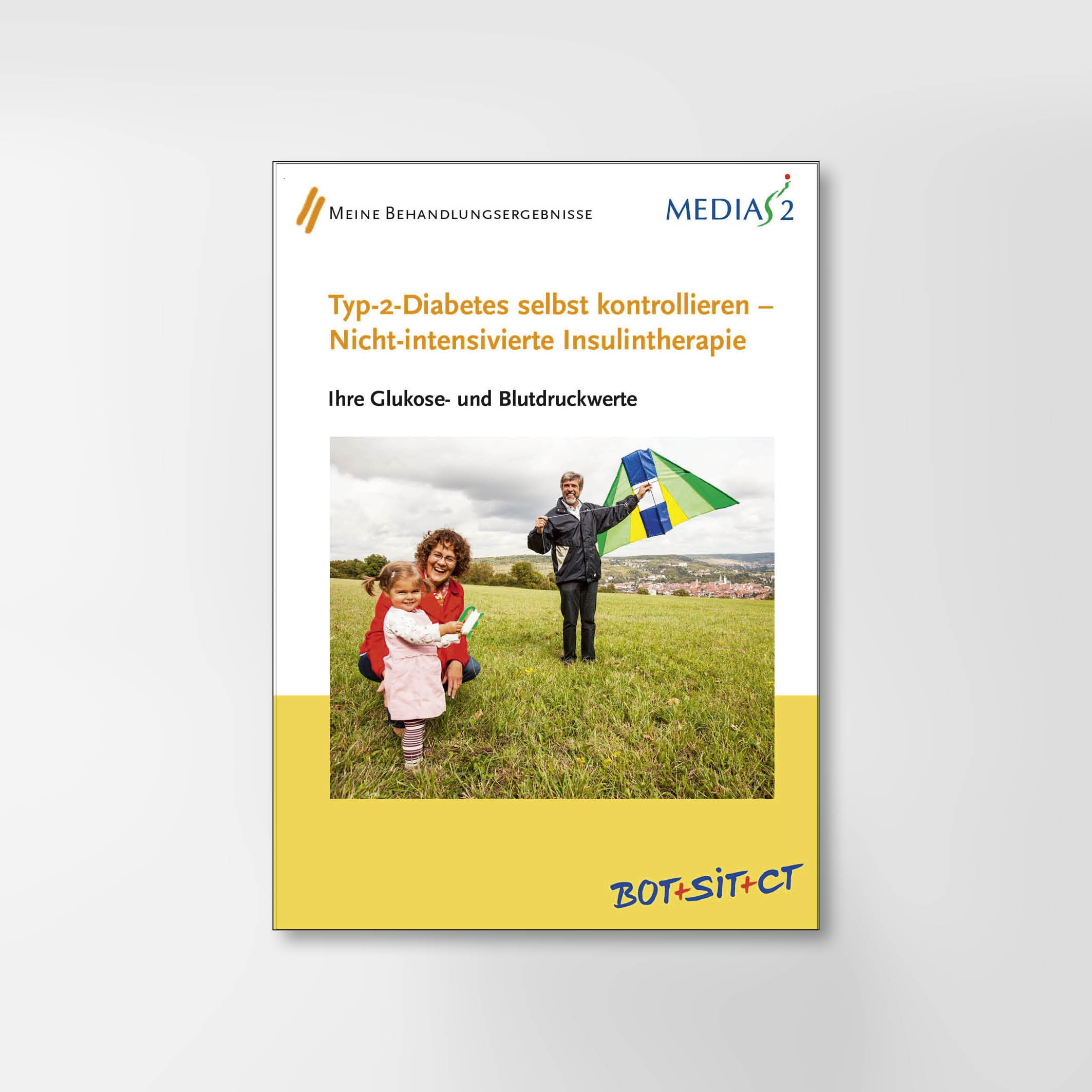 Typ-2-Diabetes selbst kontrollieren - Nicht intensivierte Insulintherapie